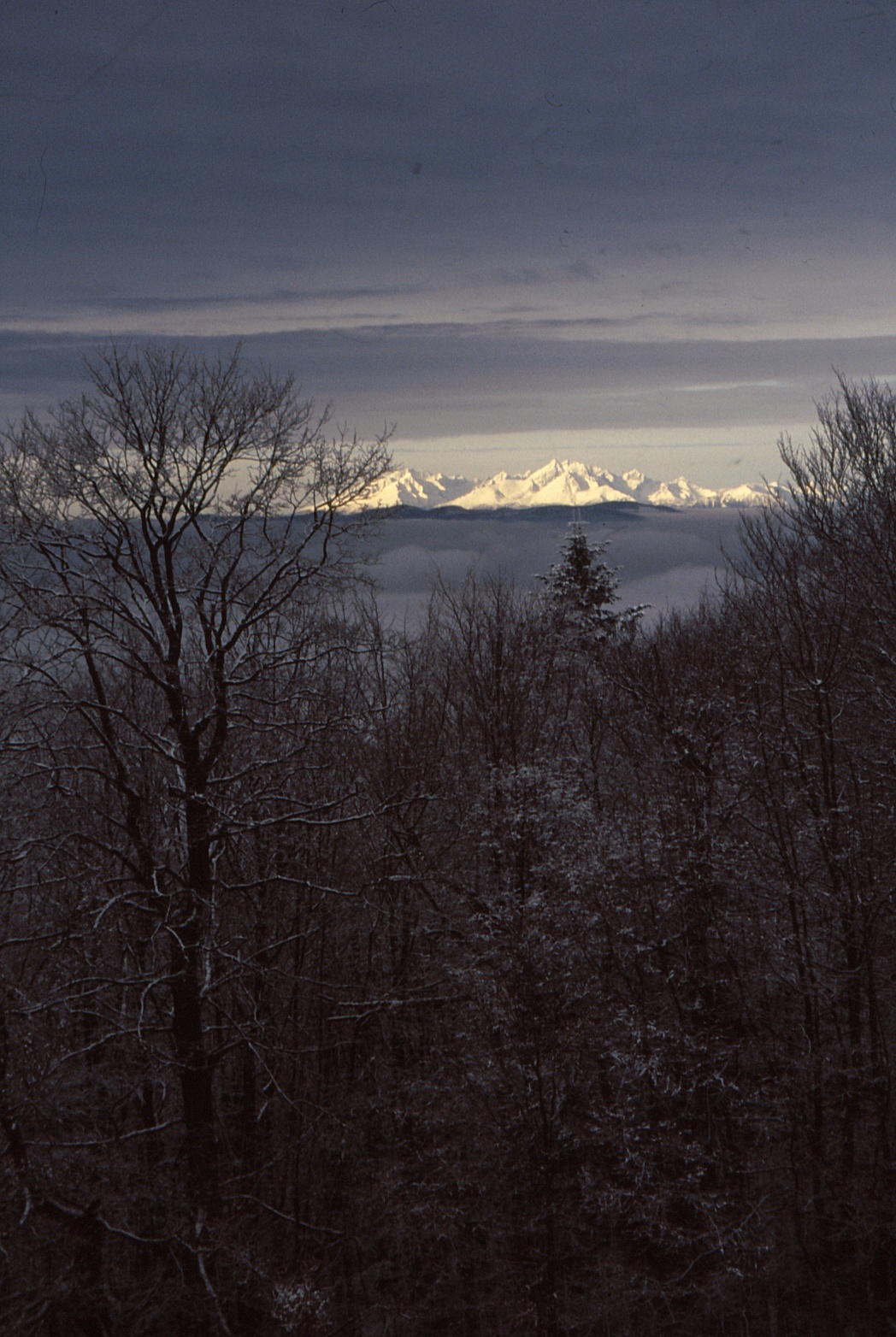 Vysoké Tatry panorama z Čergova